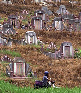 Image: Tombs in Malaysia's oldest Chinese cemetery"