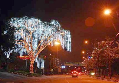 Image: Chameleon: Besides buildings, some giant trees in Ayer Keroh are decorated with chasing lights that change colours every few seconds."