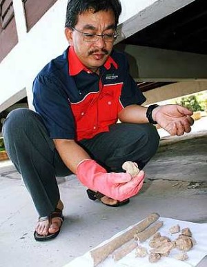 Image: To be researched: Malacca Museums Corporation's general manager Khamis Abbas examining the ancient human skeletal remains."