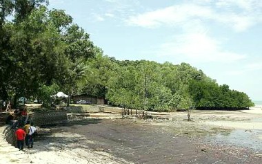 Image: Tanjung Tuan is Malaysia's only coastal hill forest which is a protected bird sanctuary and forest reserve."