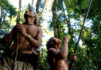 Afbeelding: Penan mannen jagen in het woud."