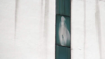 Afbeelding: De verschijning van de Heilige Maagd Maria."
