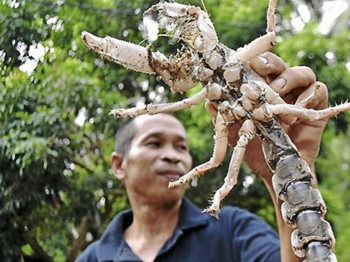 Afbeelding: Een superzeldzame vangst: de 'Ngoang'."